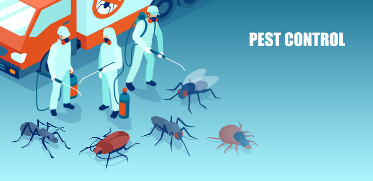 Pest Control Las Vegas: Expert Solutions for a Pest-Free Home post thumbnail image