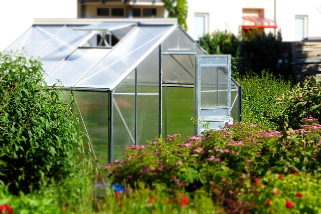 All-natural Oasis: Looking after Compound-Totally free Make in Greenhouses post thumbnail image