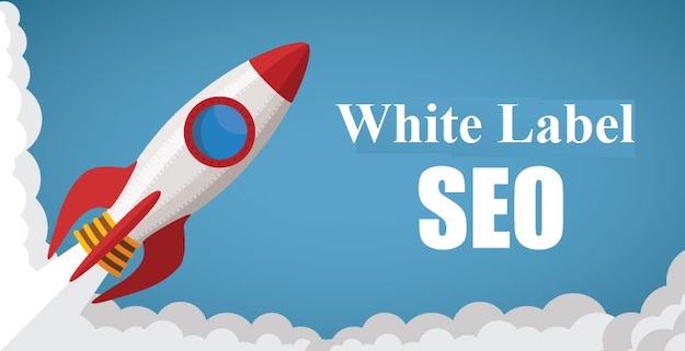 Leading the Way: Mastering White Label SEO Services post thumbnail image