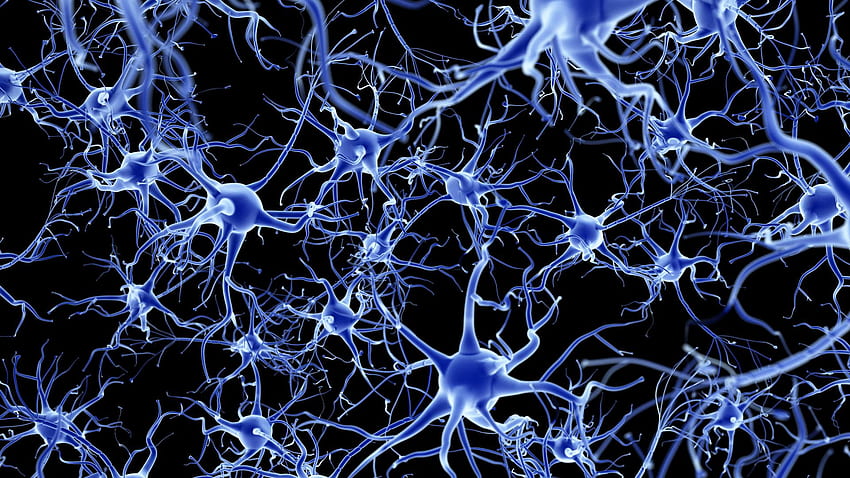 Evoke Neuroscience: Daily Habits to Boost Your Brain Health post thumbnail image