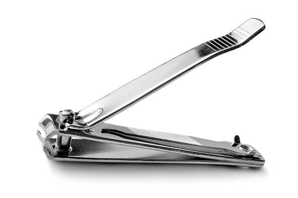 Choosing Champions: The Top Nail Clippers on the Market post thumbnail image