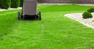 The Denver Lawn Care Advantage: Unleashing Your Yard’s Potential post thumbnail image