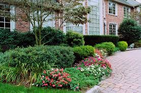 Bergen County’s Green Oasis: Landscaping Excellence post thumbnail image