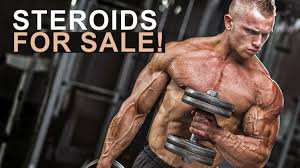 Top quality Steroids: Discovering the top Online Suppliers post thumbnail image